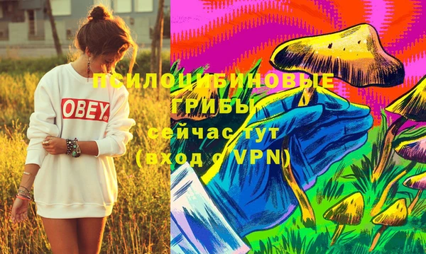 герыч Липки