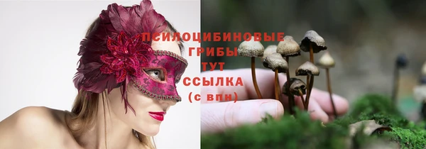 герыч Липки